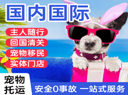 乌兰察布集宁空运地址国际宠物托运 【国